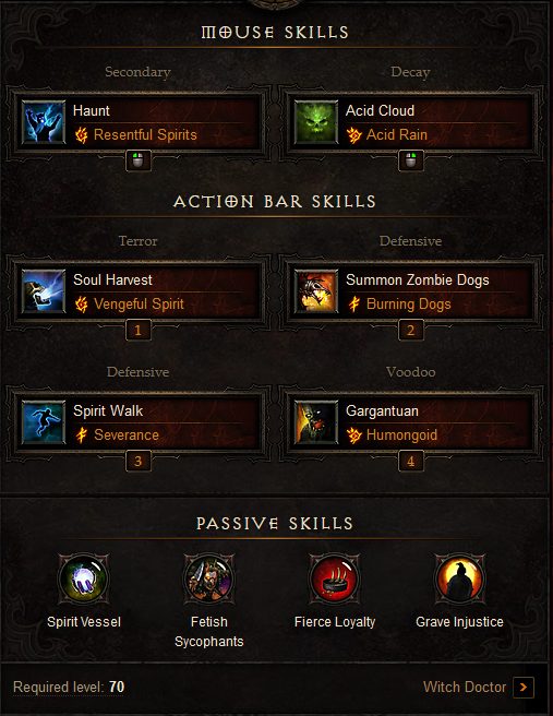 witch doctor leveling build